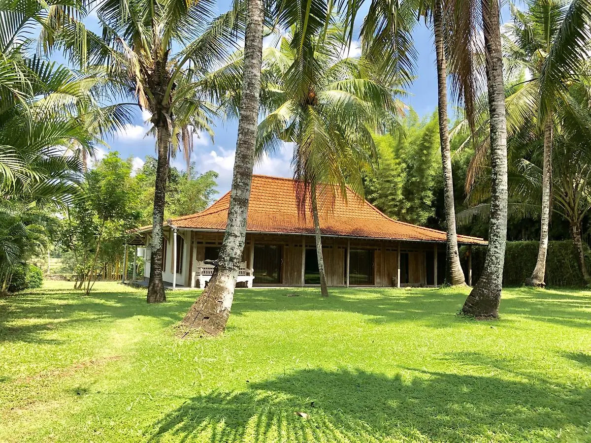 Villa Limasan, Ubud location