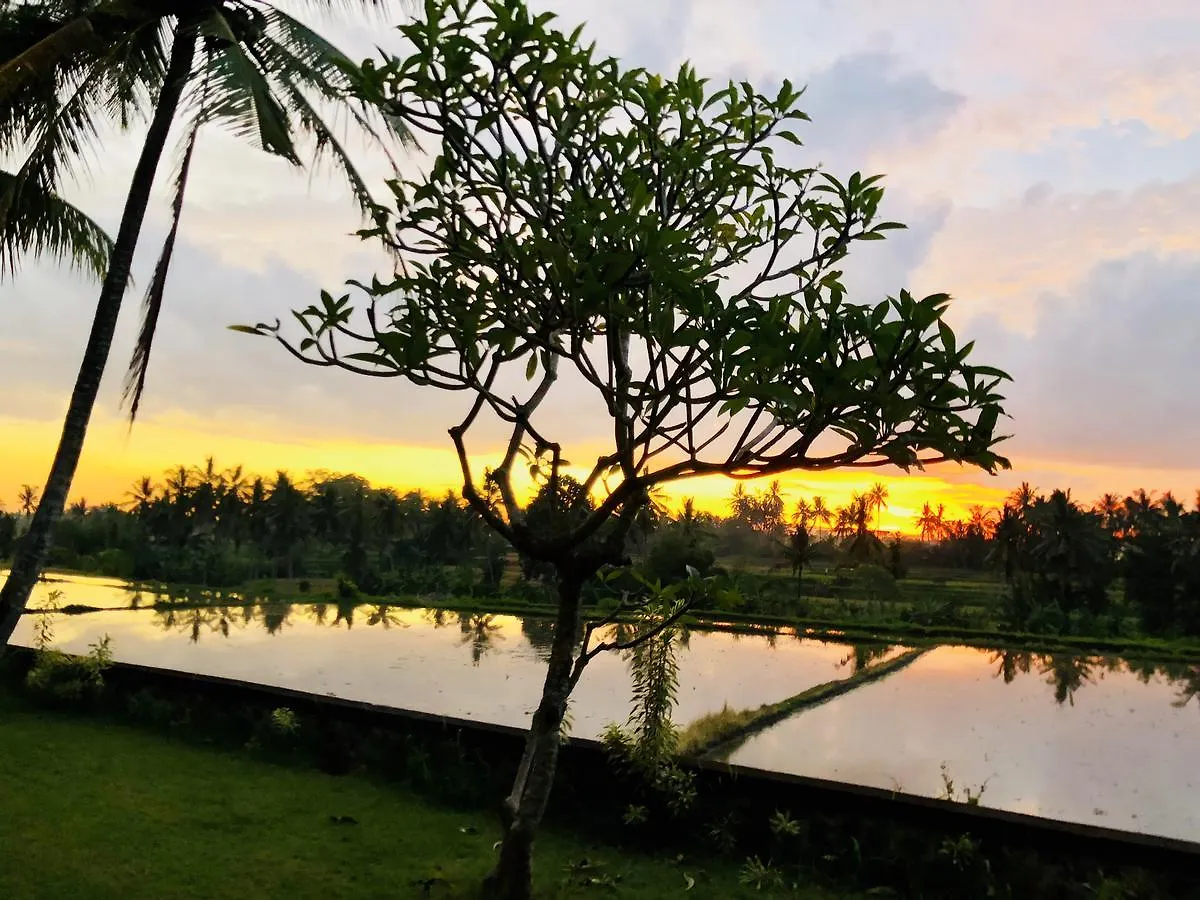 Resort Villa Limasan, Ubud